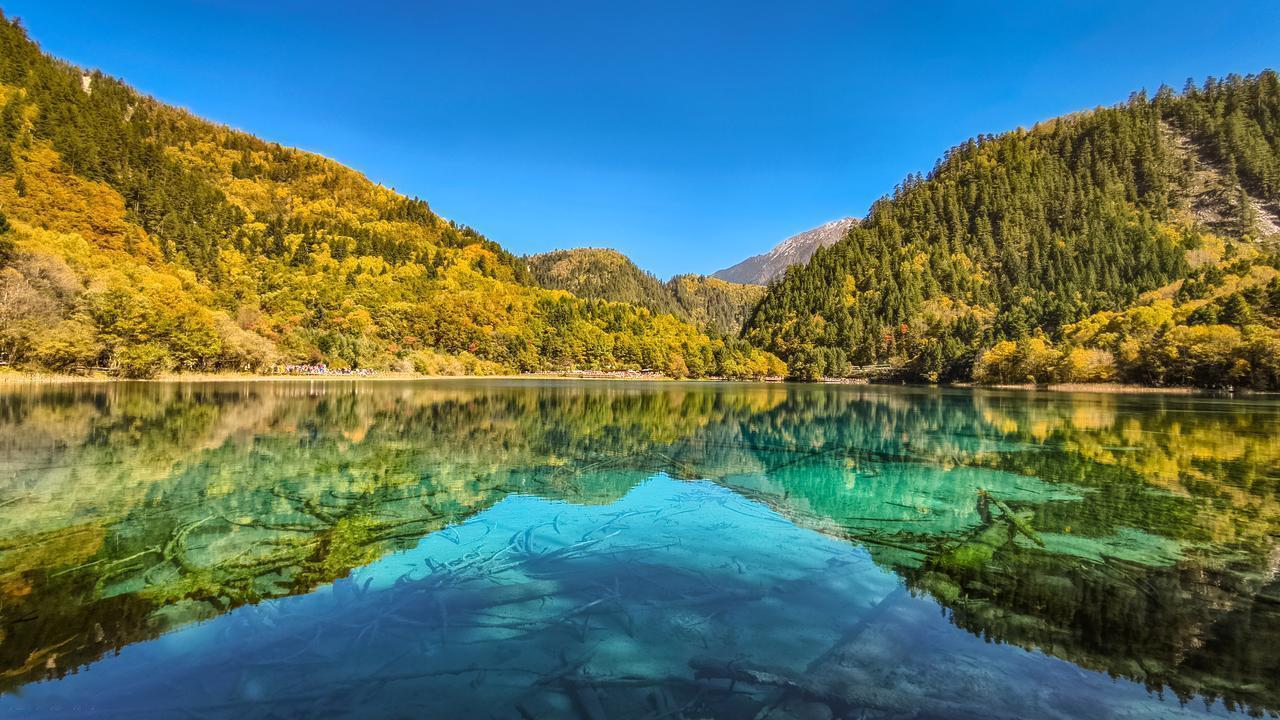 春秋假准备去哪里玩？四川这边川西已经被成都大军挤爆了。九寨沟近几天票都售罄了