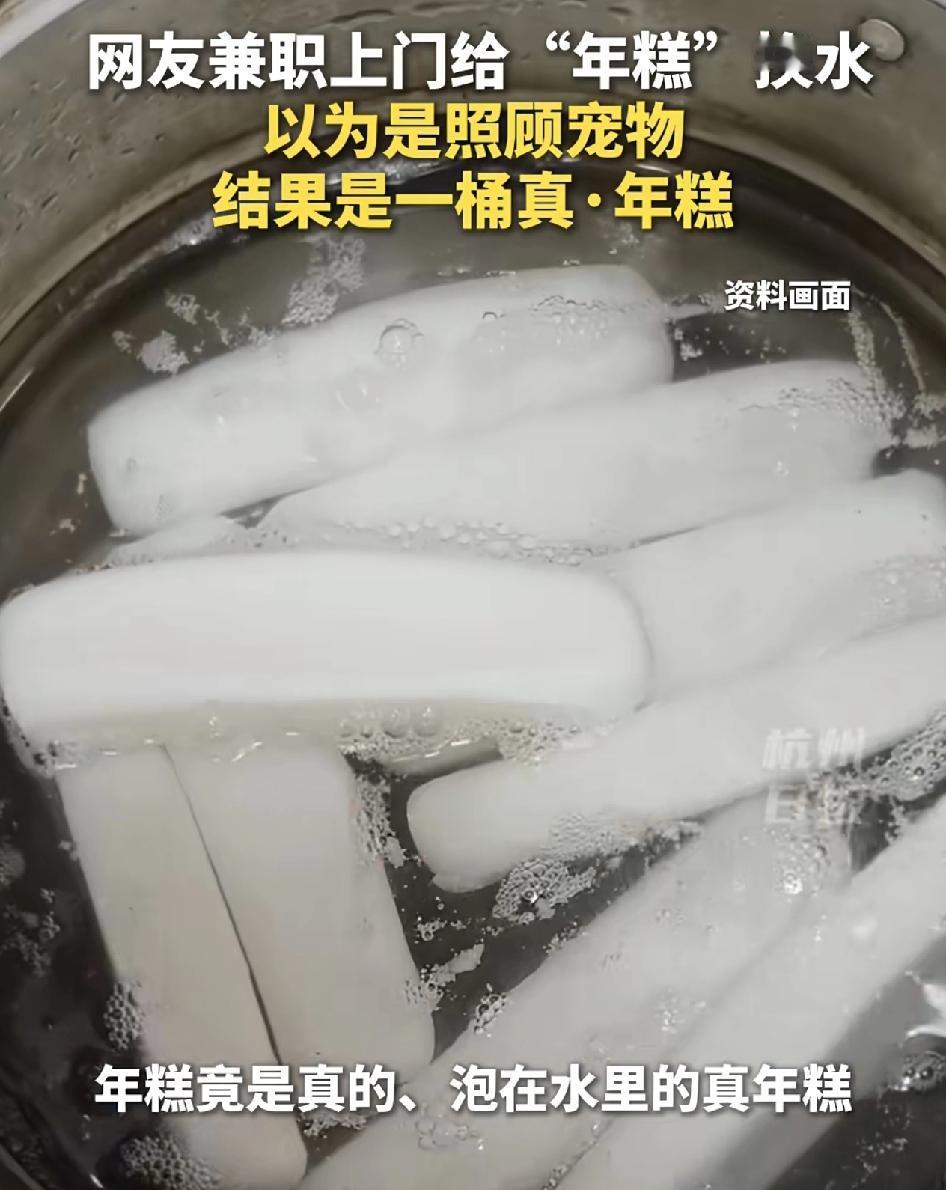 福建一位网友发视频称最近接了一个兼职单，是给客户上门给年糕换水，本以为是一只宠物