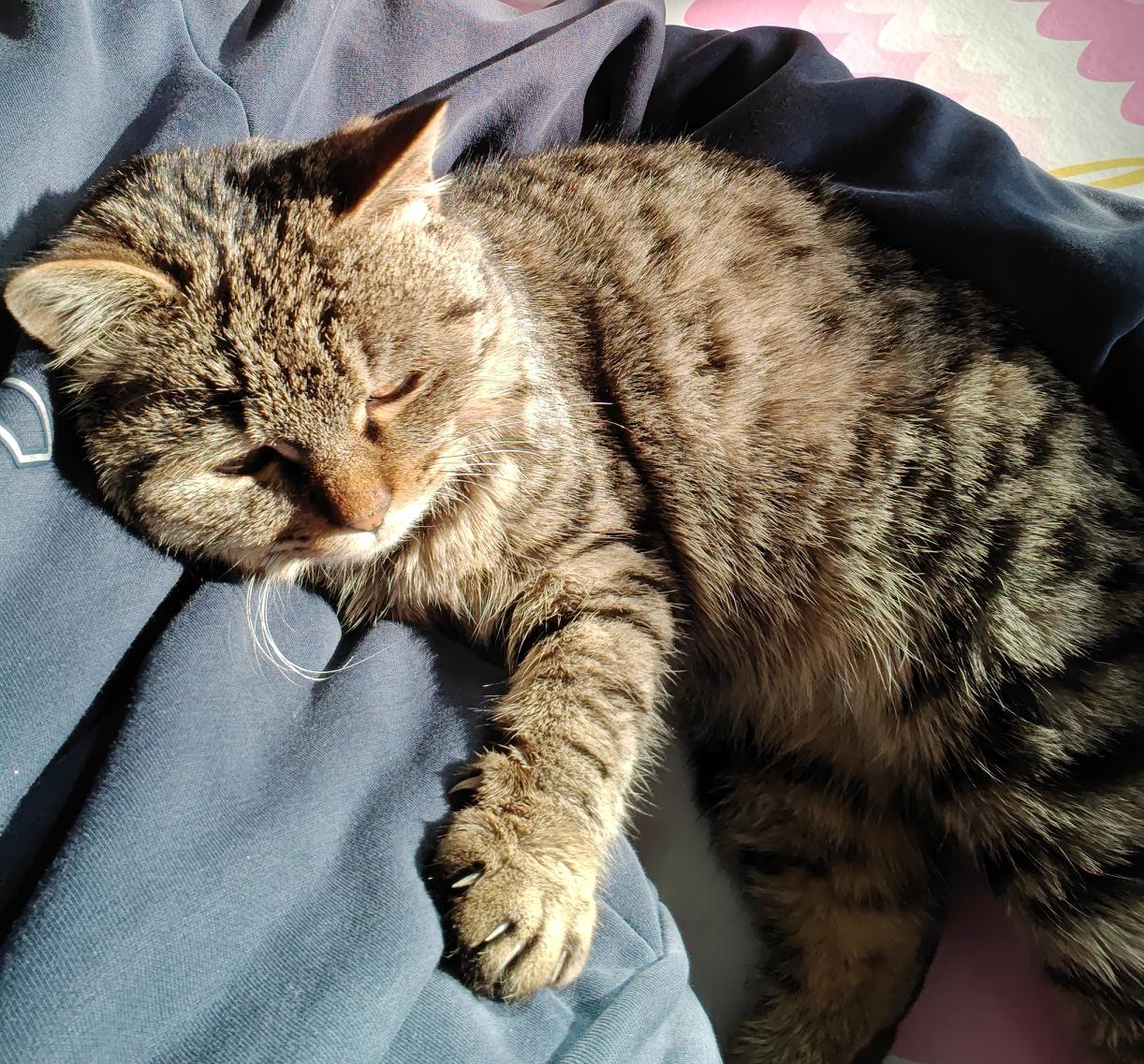 全家都是有钱人的三大星座1. 处女座♍：妥妥的家族式理财达人之家，长辈深谙