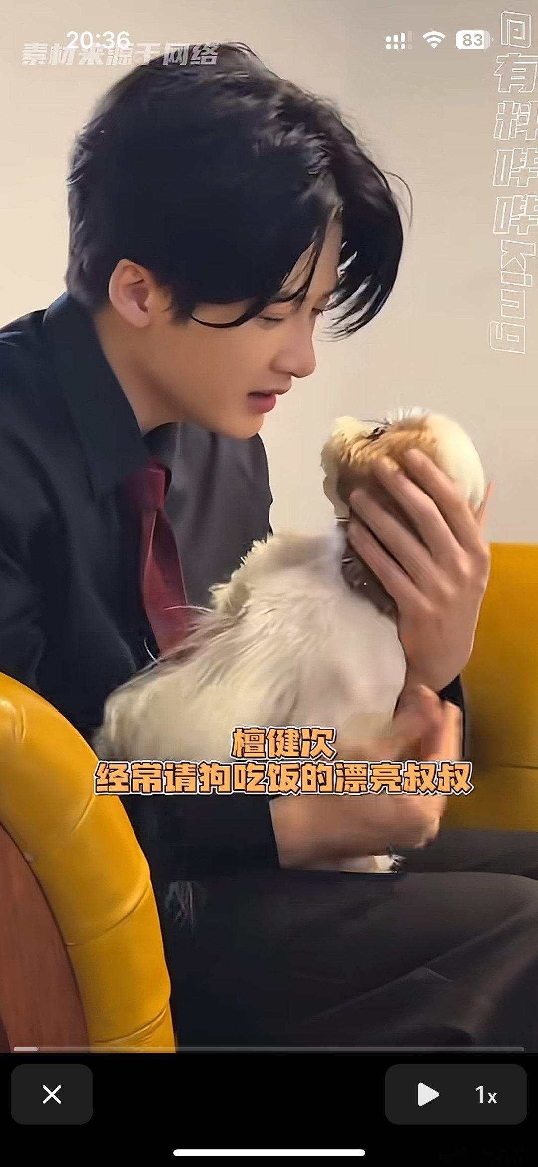 檀健次：经常请狗吃饭的漂亮叔叔檀力球：qq肠檀小呆：杏鲍菇