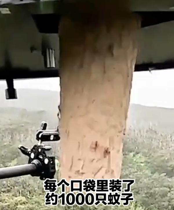 美国这是疯了吗？夏威夷出现惊人一幕，人为用大量无人机投放了数万只蚊子，而且每一只
