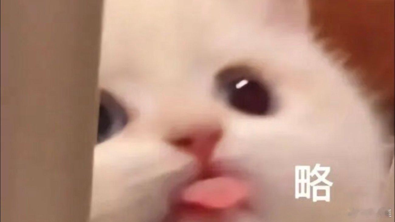 小猫表情包。​​​