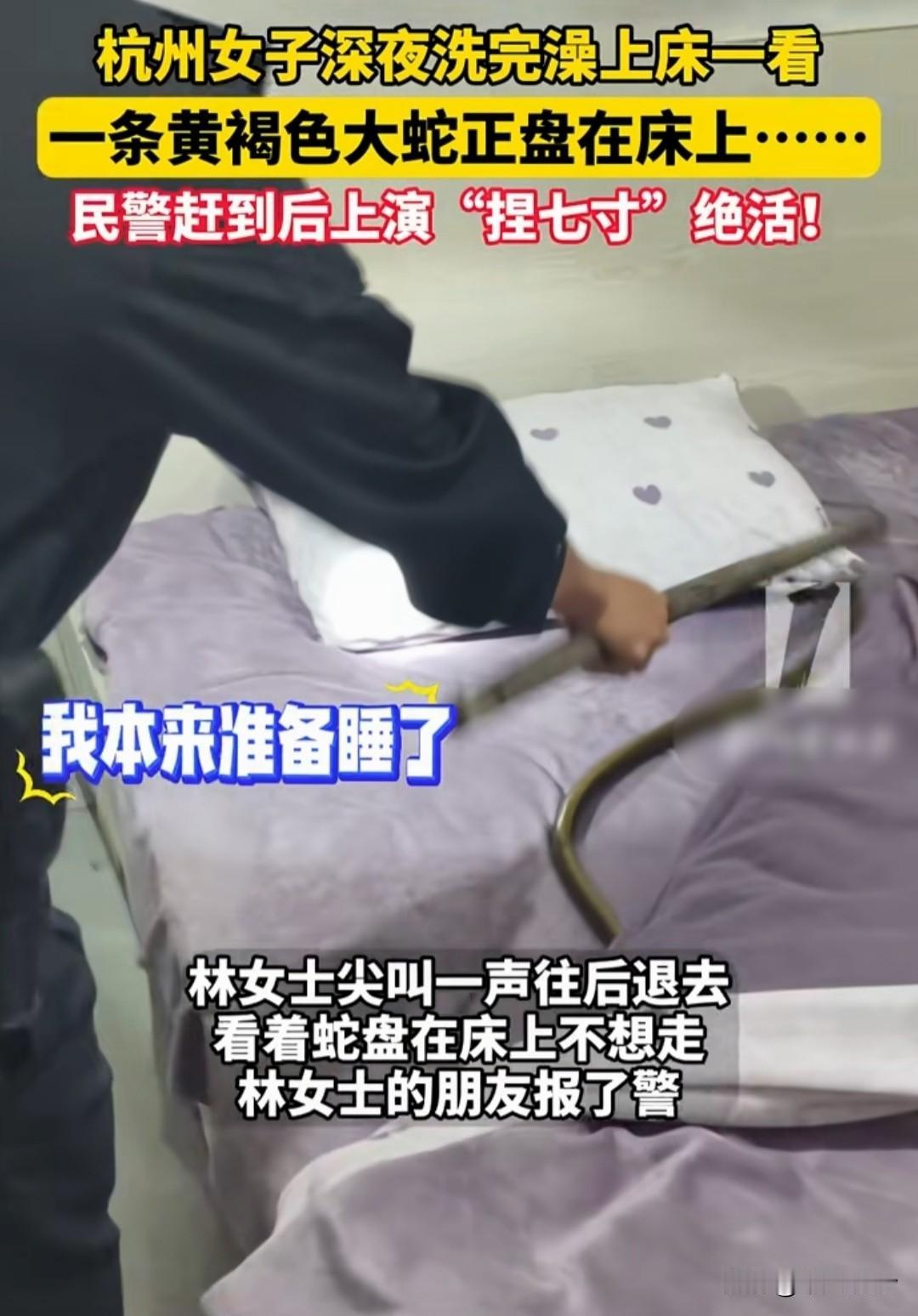 一女子洗完澡上床睡觉，掀开被子瞬间吓得两腿发软，夺门而出4月27日，家住杭州