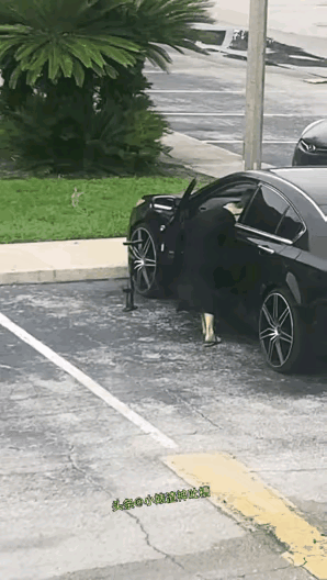 轮胎:小姐姐，你觉得可以吗？