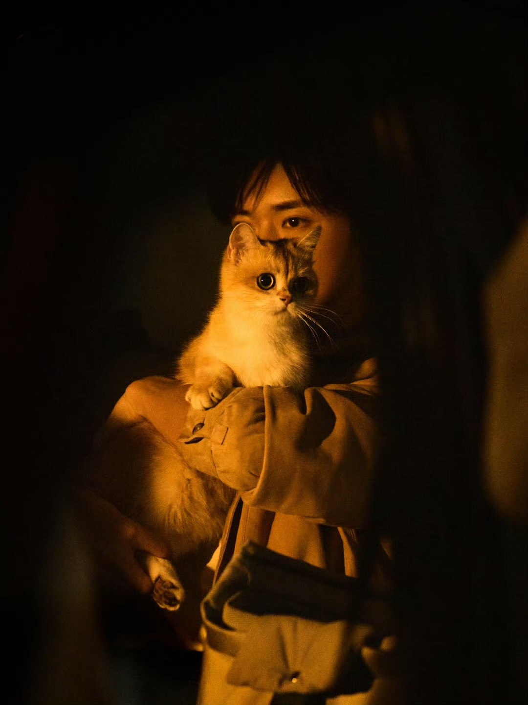 易烊千玺大猫和小猫简未斯猫塑四四，好可爱​​​
