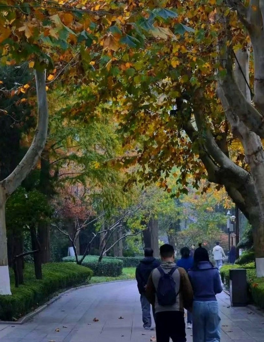 女人的身体是最诚实的，女人是不会碰一个不爱的男人的。大部分女人只不过情感花，但是