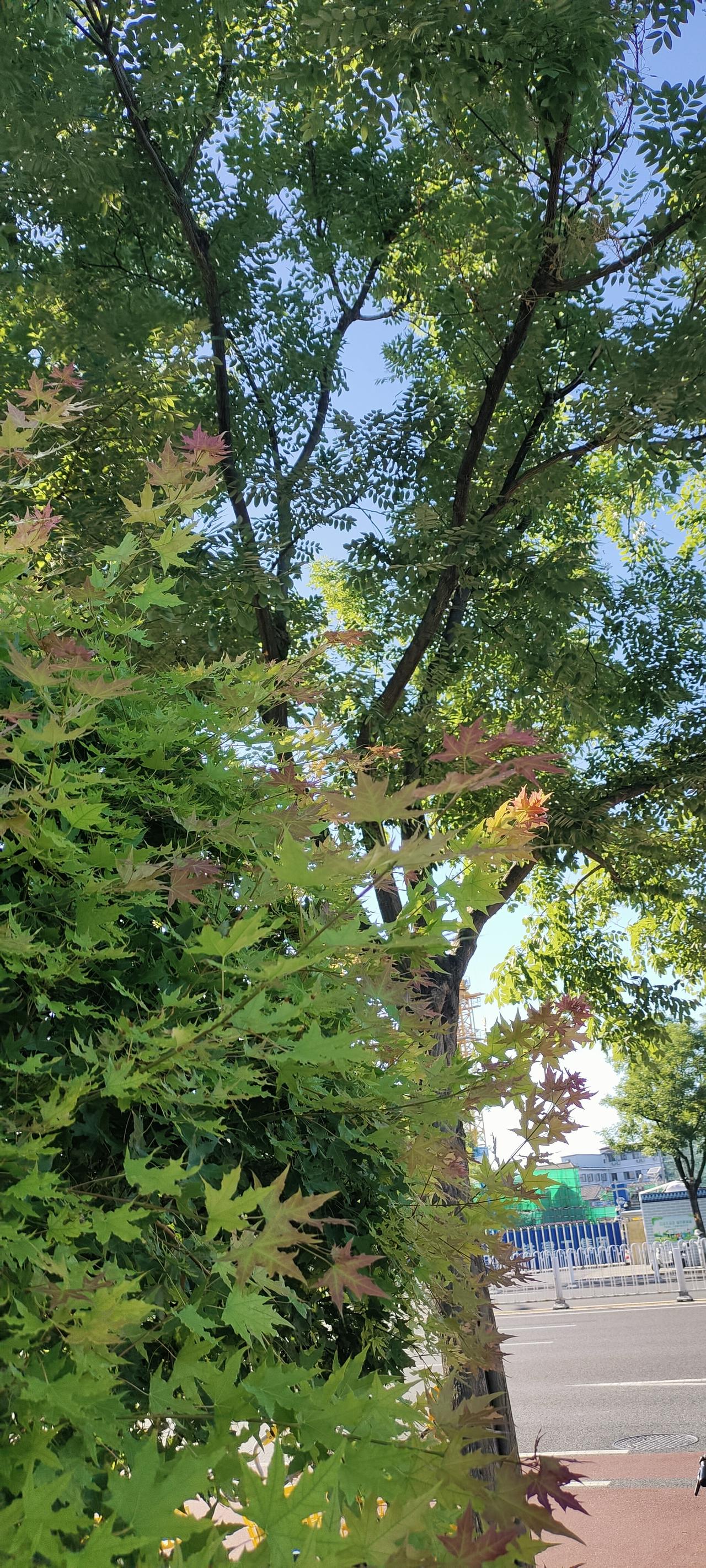 母亲：这一生遇上了贵人我的印象中我的妈妈的身体不太好，干起农活来很吃力。