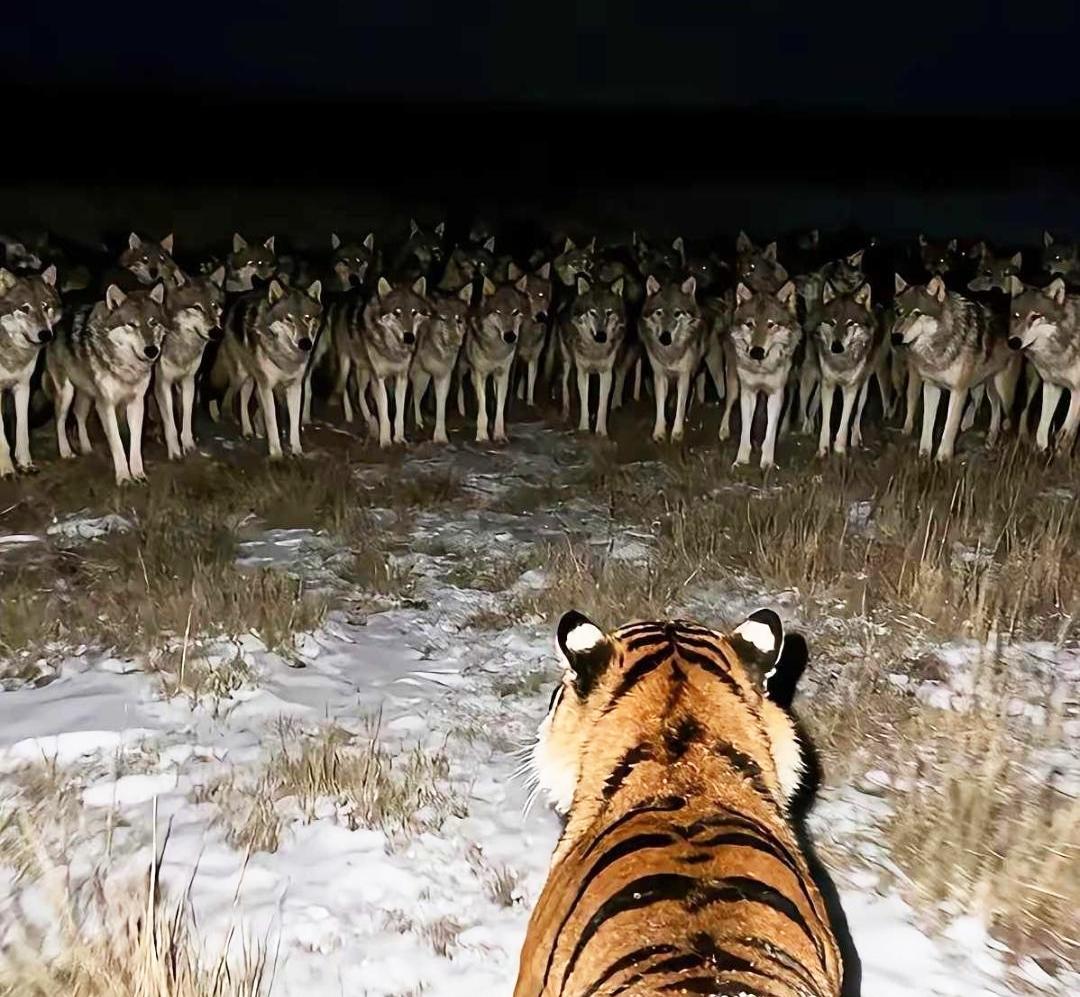 小时候家里特别穷，一年到头也吃不上什么好东西，更别提什么零食了，有一次，一个老头