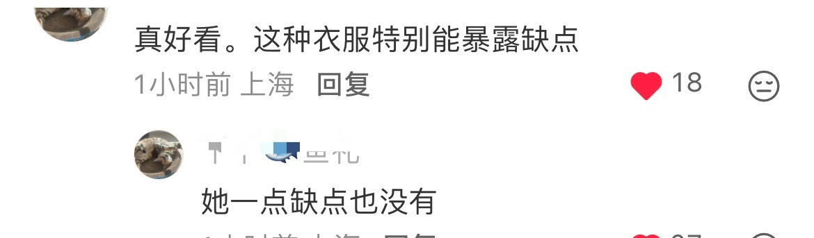 网友：这衣服特能暴露缺点，但是刘诗诗没缺点刘诗诗没缺点刘诗诗一点缺点也没有