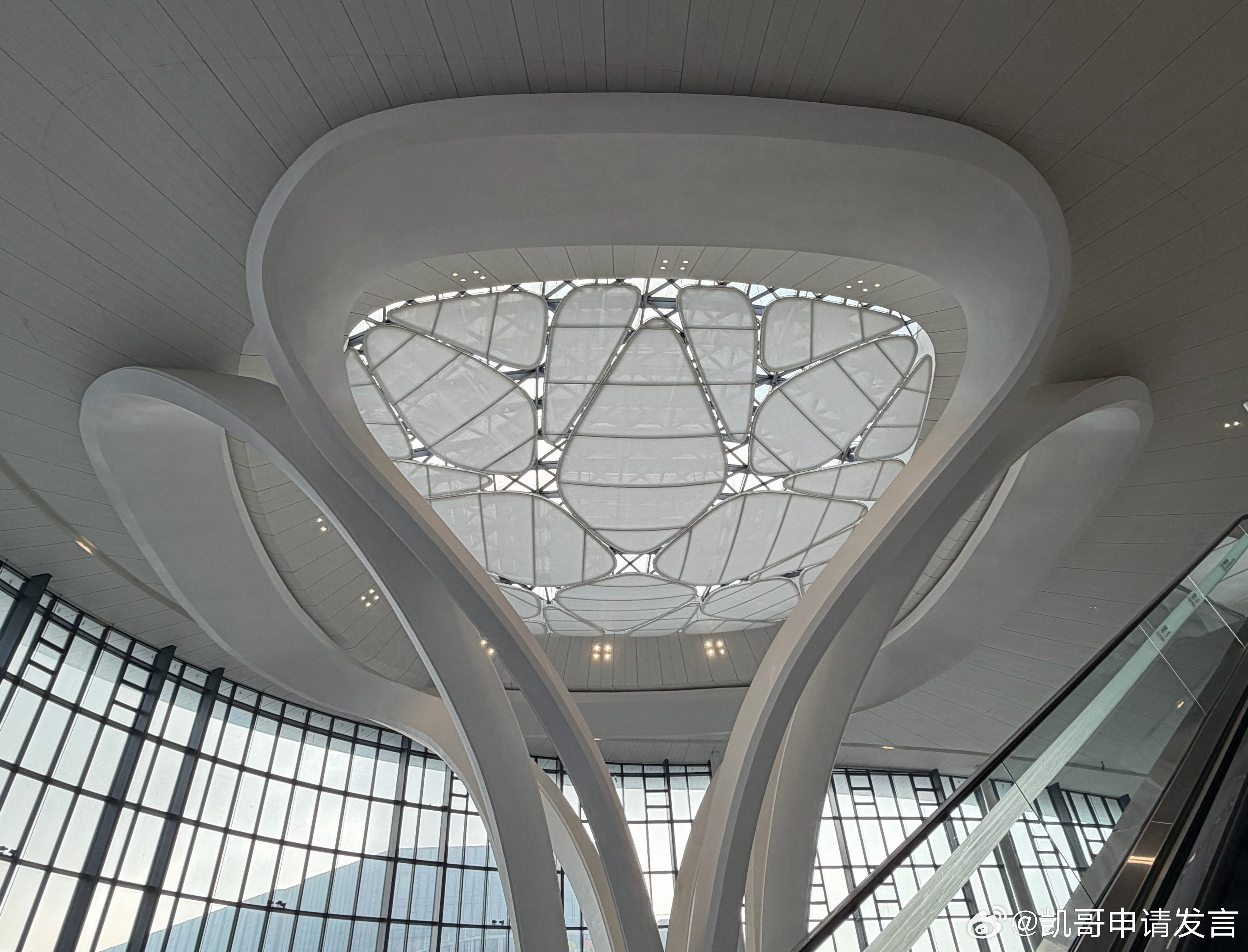 早每次从头等舱商务舱走过，心里就窃喜，又赚了几百块！商务舱记录生活