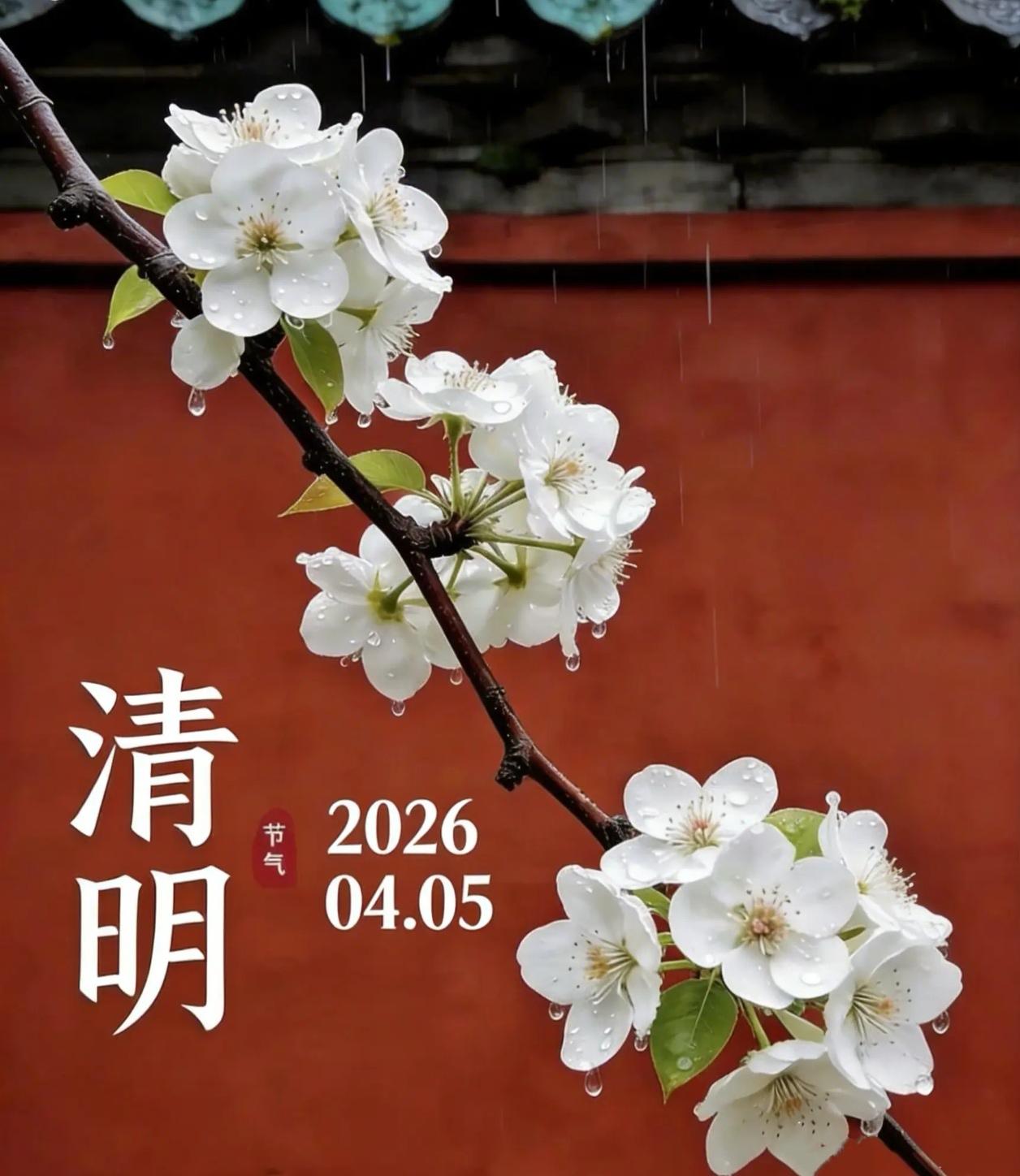 🌱清明特辑|四大传统节日里，为啥就它“不守”农历规矩？大家有没有发现