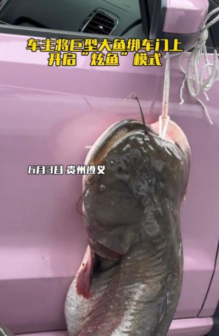 “一生爱炫耀的中国男人！”6月3日，贵州遵义一名男子去老家鱼塘钓鱼，结果钓上一条