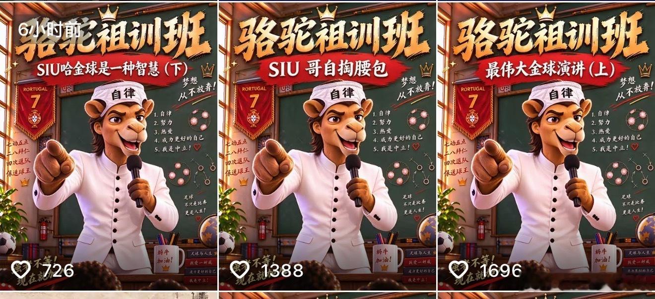 我承认这三期的含金量实在太高了​​​
