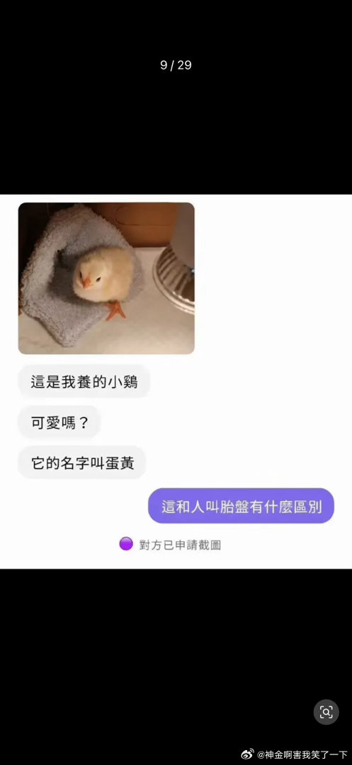 6379我的小鸡叫蛋黄