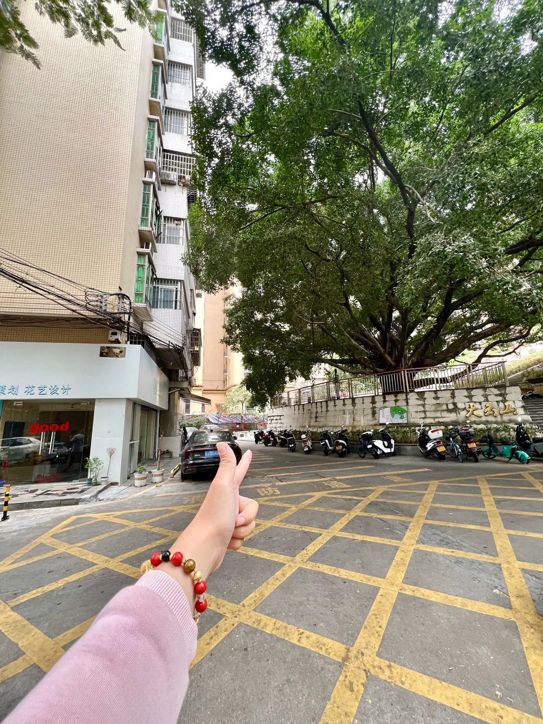 新会本地人都❤️打卡的咖啡店！！