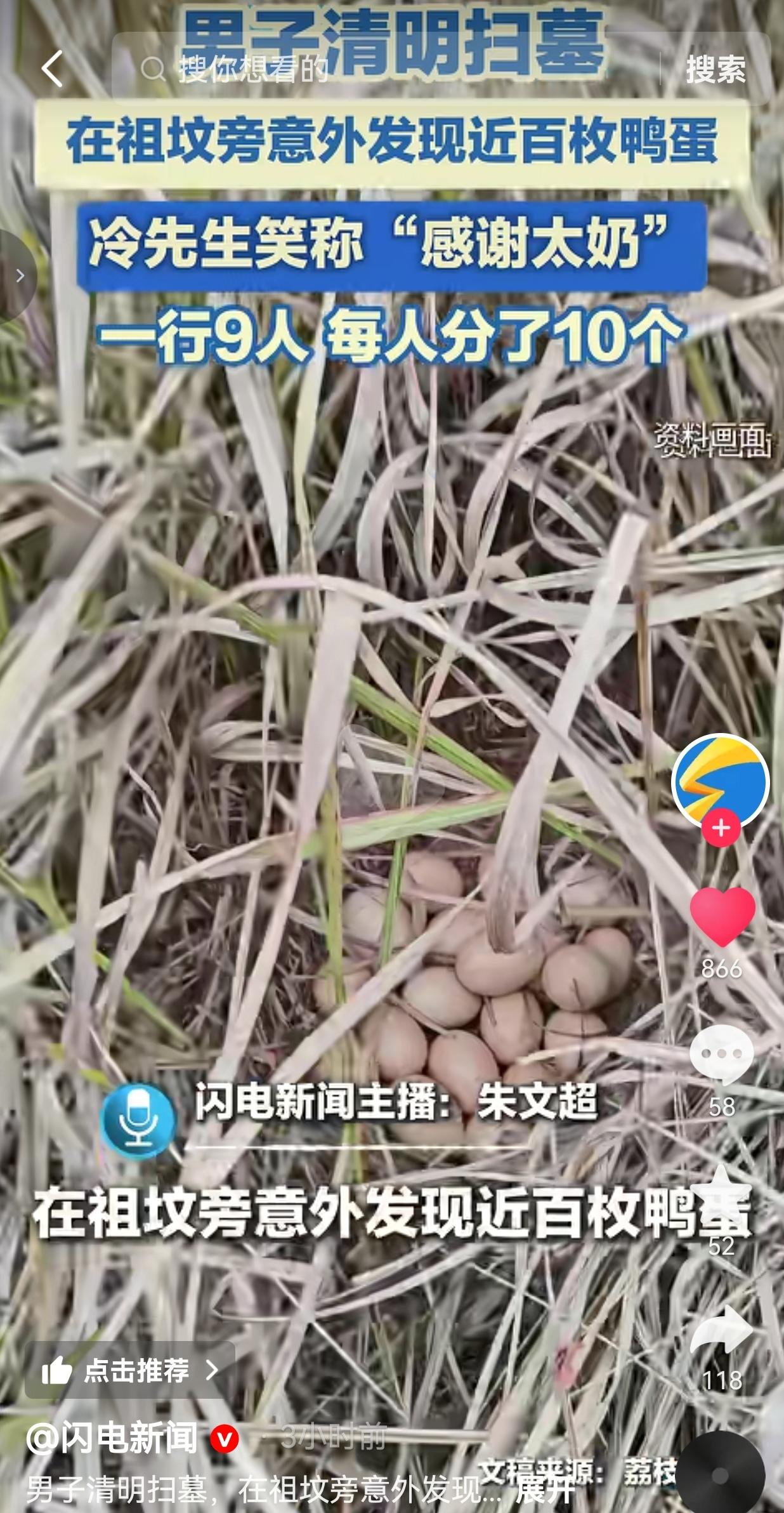 我滴个乖乖！江西九江冷先生一家清明扫墓，居然在祖坟旁发现近百枚野鸭蛋！一行9