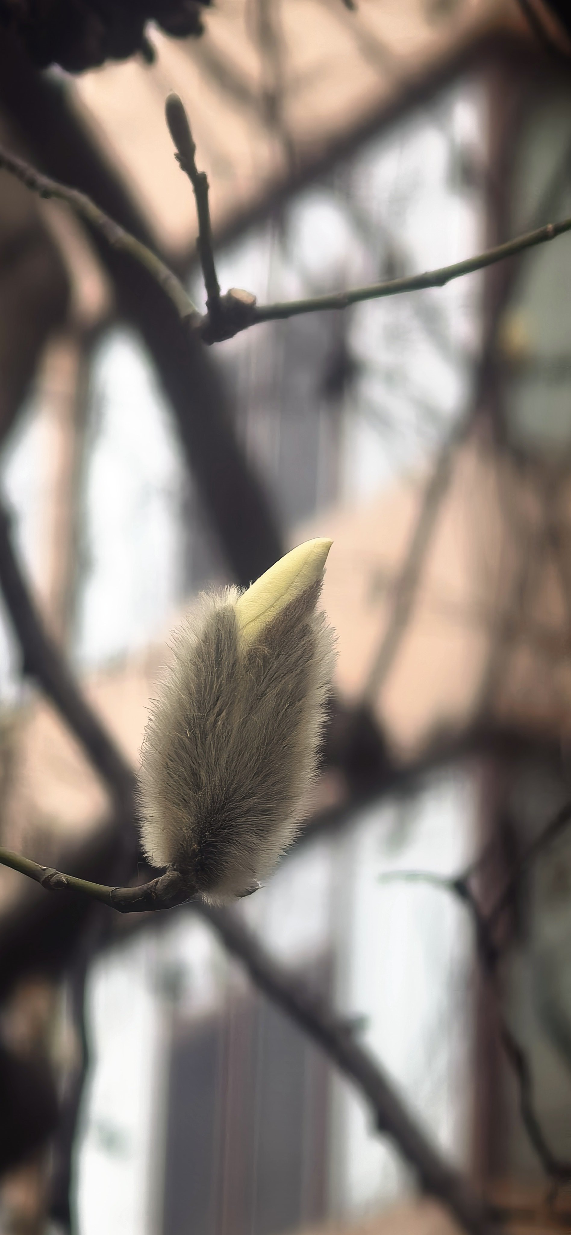 不吸取教训么？【军事古巴国家主席：古巴官员近期已与美国政府代表举行会谈】据古巴