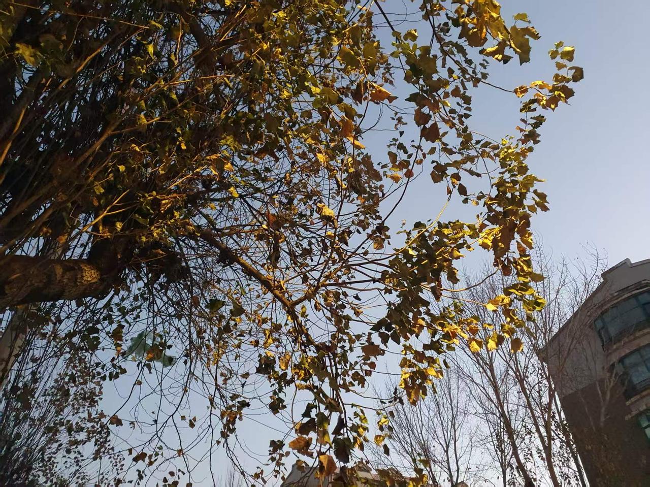 离婚多年的前婆婆明明不喜欢我，为啥还要给我10万遗产？在母亲病床前，我忽然就明白