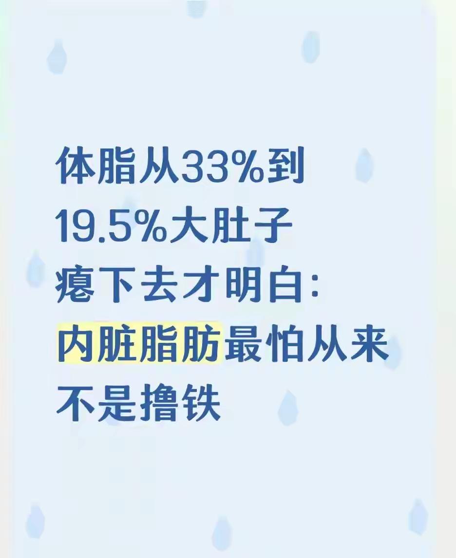 体脂33%降到19.5%终于明白：内脏脂肪最怕的根本不是健身撸铁不少健身的