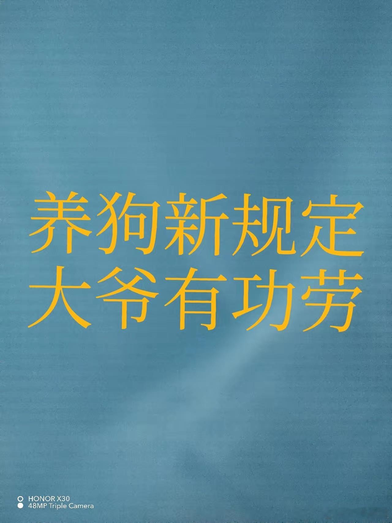 毒狗大爷成了英雄？！北京出台了严格的养狗新规定！不能不承认这里面有毒狗大爷四年牢