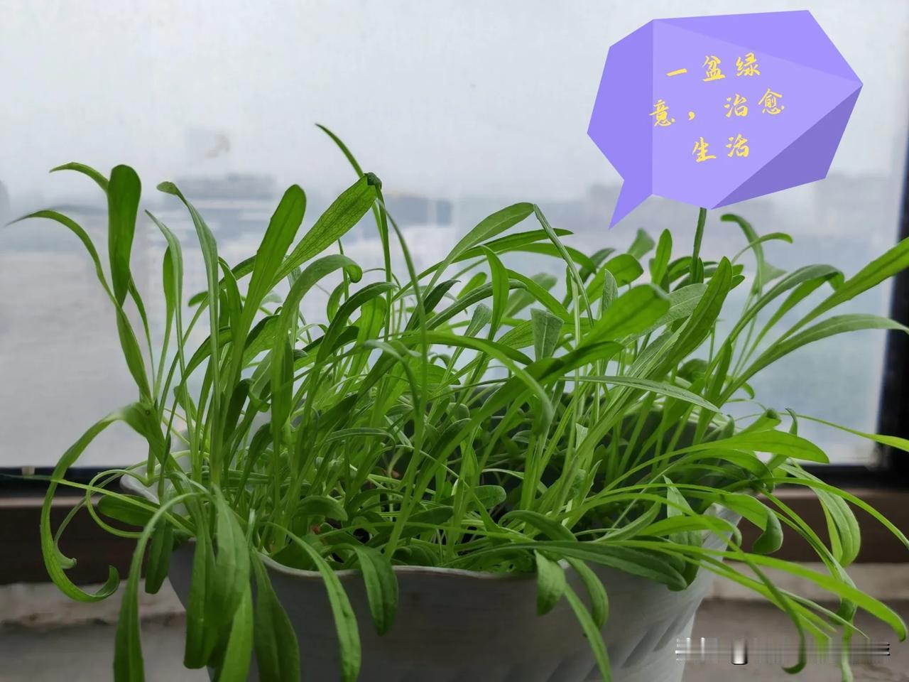 又是下雨的一天！