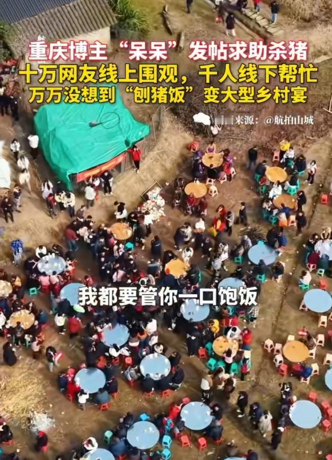 合川呆呆家“刨猪宴”已经撤场了。1月13号开始，她家就不搞“刨猪宴