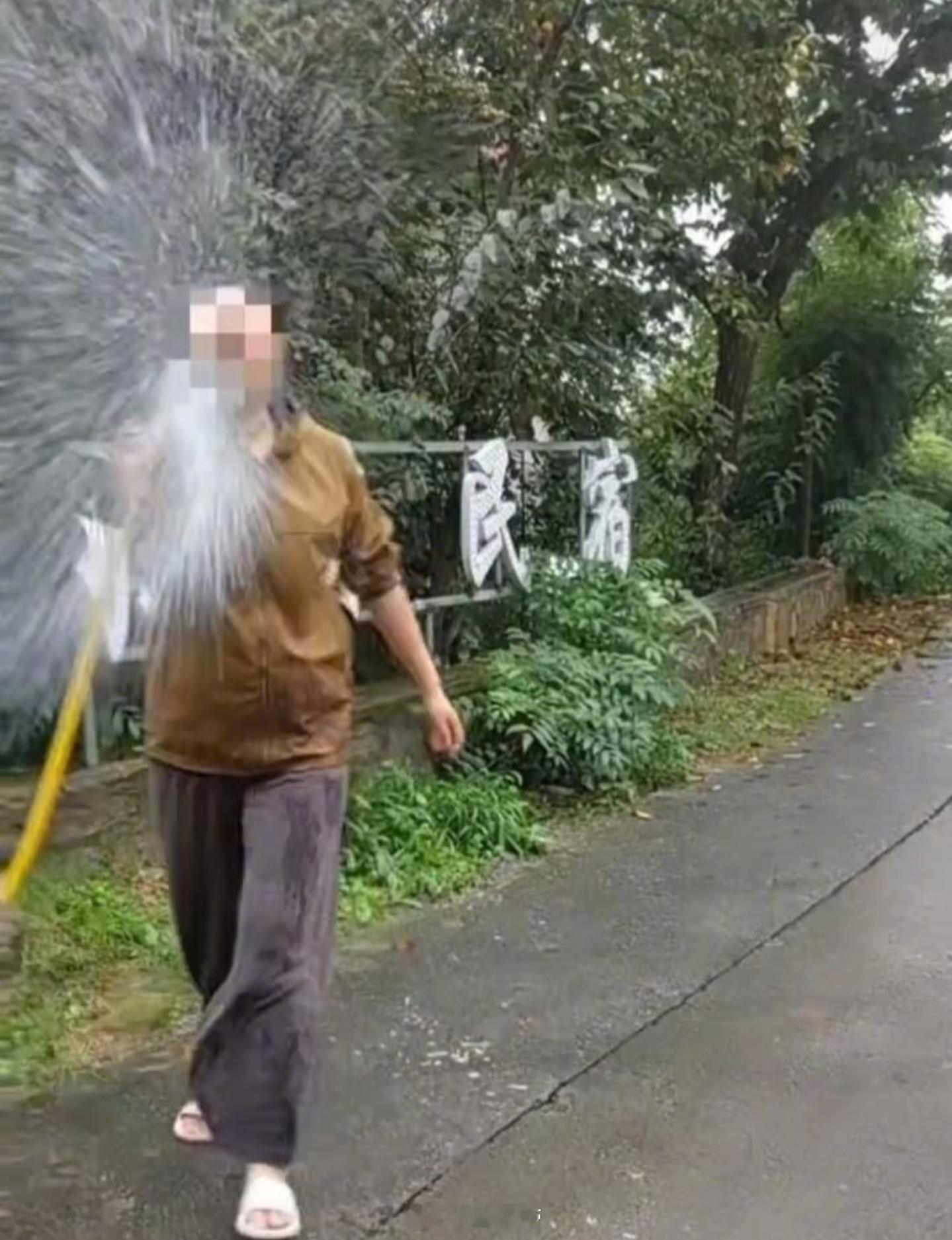 游客称捡板栗壳被民宿老板娘诬陷偷主要矛盾和争议在这游客说法景区公共道路旁捡板栗