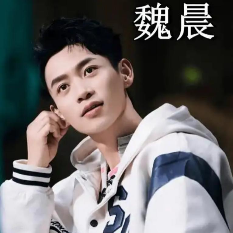 左手唱歌右手演戏，不讨好不浮躁，魏晨这才叫真本事央视专访揭开39岁魏晨的真实