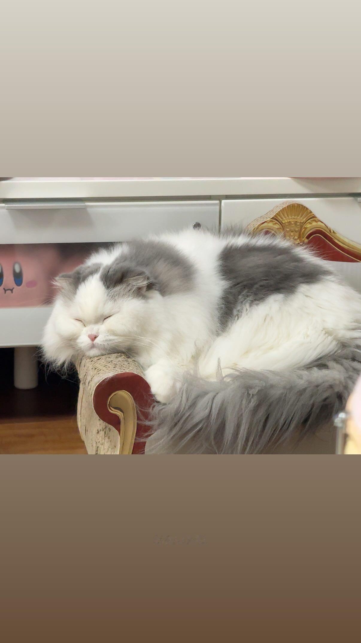 吉田綾乃クリスティー​​​