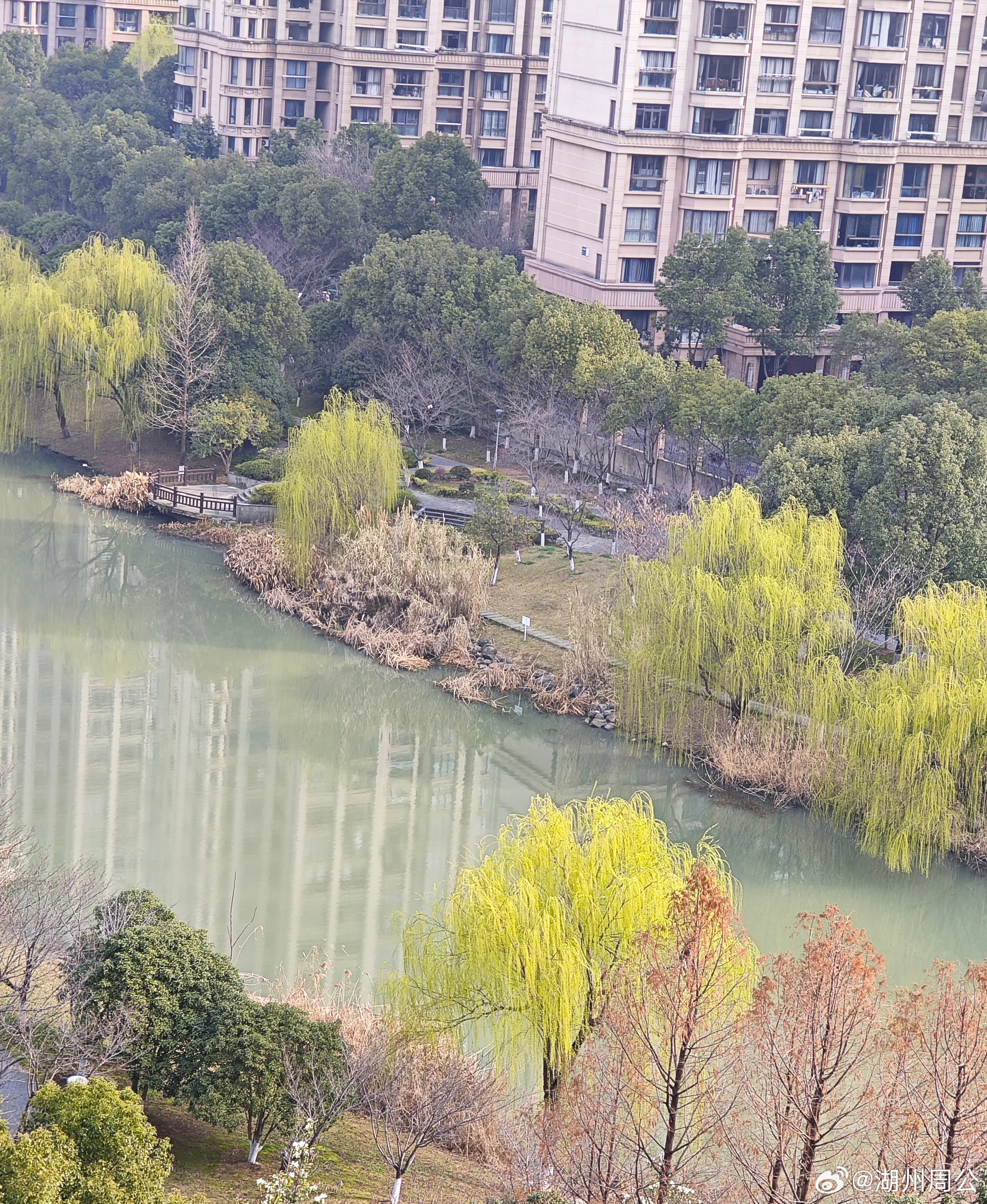 绿黄交替，嫩绿的柳芽、波光粼粼的水面，连风都带着青草香。不用去远方，推开窗就是限