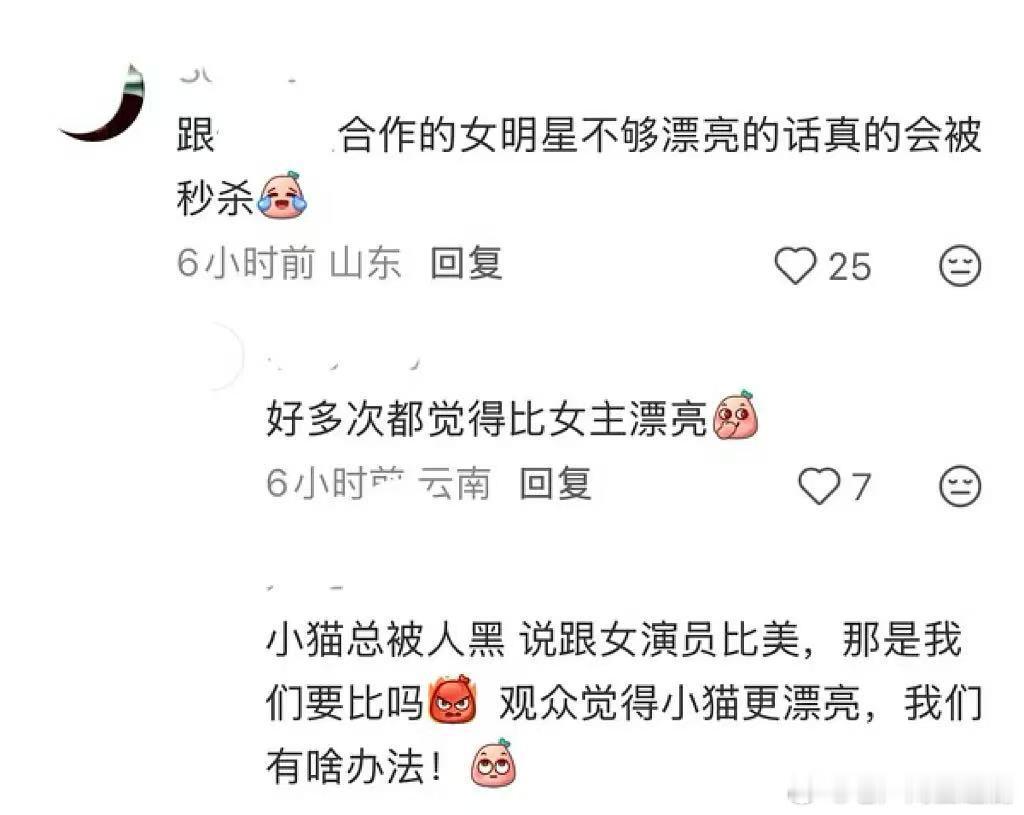 猜不到，真的猜不到，内娱是猫舍嘛？到底有多少小猫哥啊……
