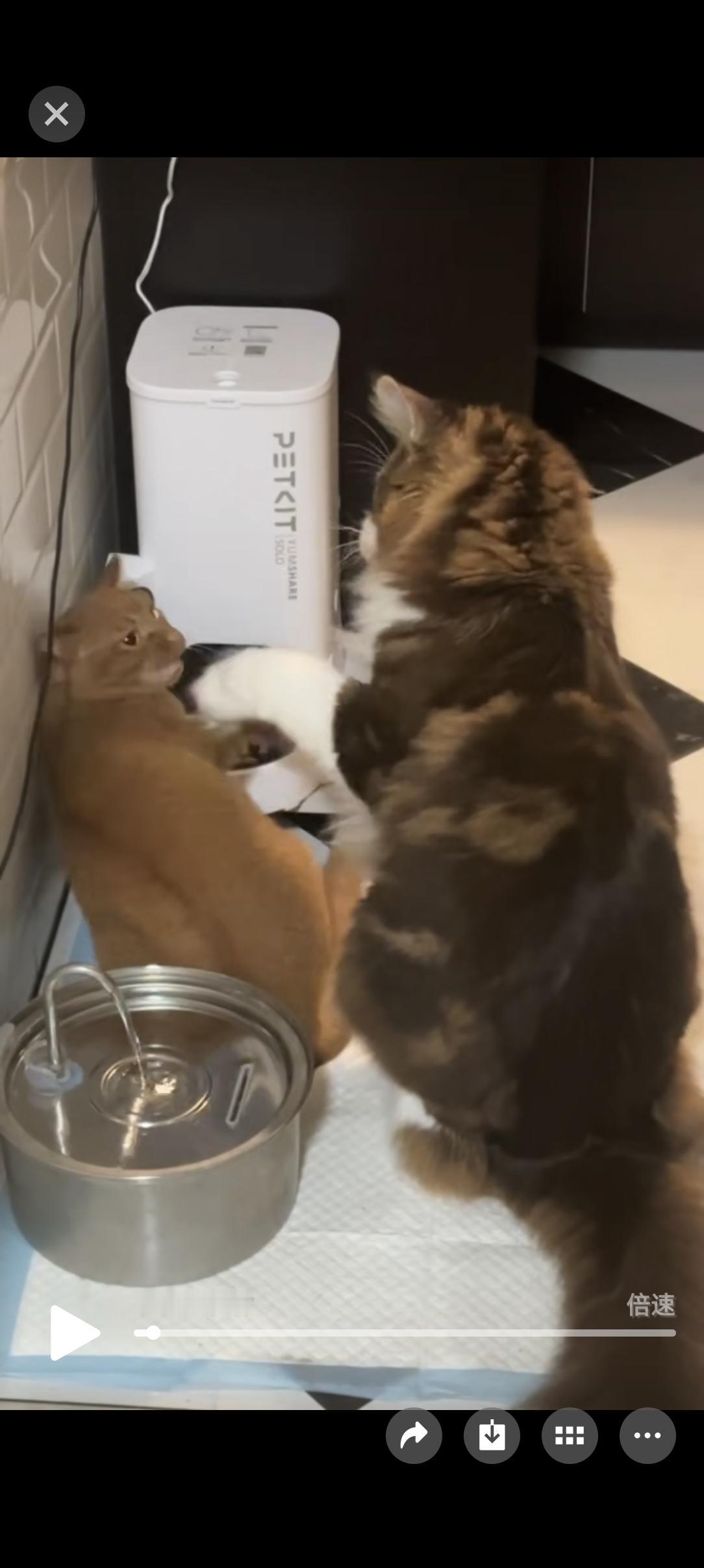 吃个饭我容易么我[大哭][大哭][大哭]