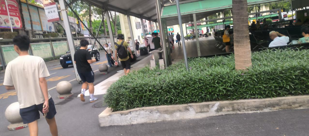 人怕出名猪怕壮。猪怕壮的缘由还算容易理解，猪长得够肥够壮时，养猪老板便能卖猪大