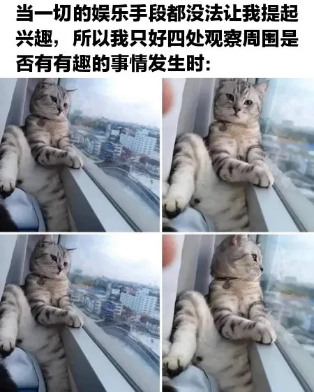 是否有有趣的事情发生