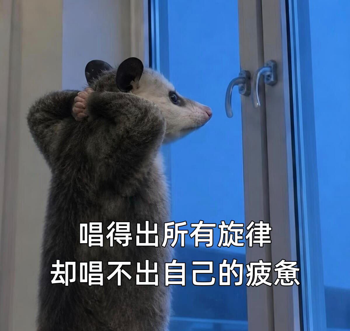 曾辉把炎亚纶炸出来了听出来是真全开麦了