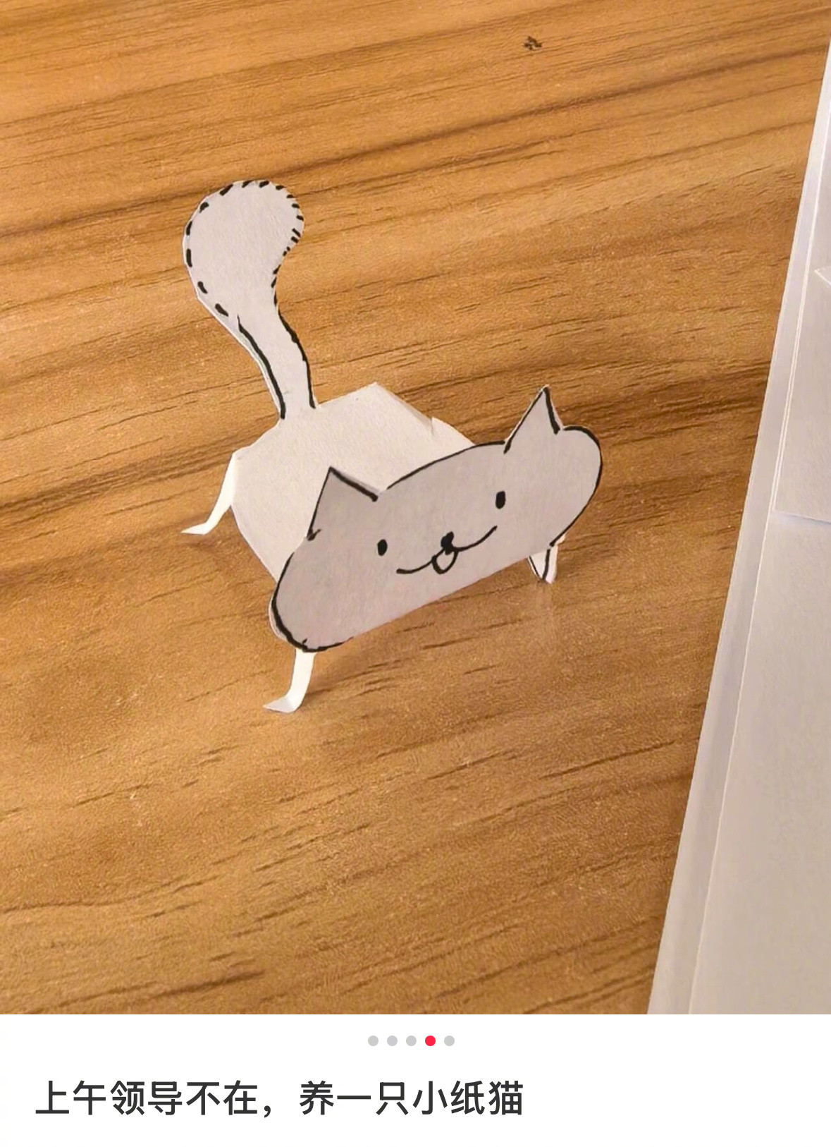 打工人基础养的猫就不基础