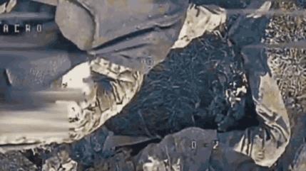 乌克兰公布了无人机精准伏击俄军视频！乌克兰近日公开了多段FOV无人机伏击多名俄