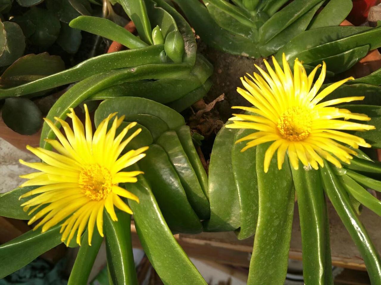 老伴退休以后慢慢的变成了一个不合群的人。每天睡到自然醒，吃个早饭，然后去菜市