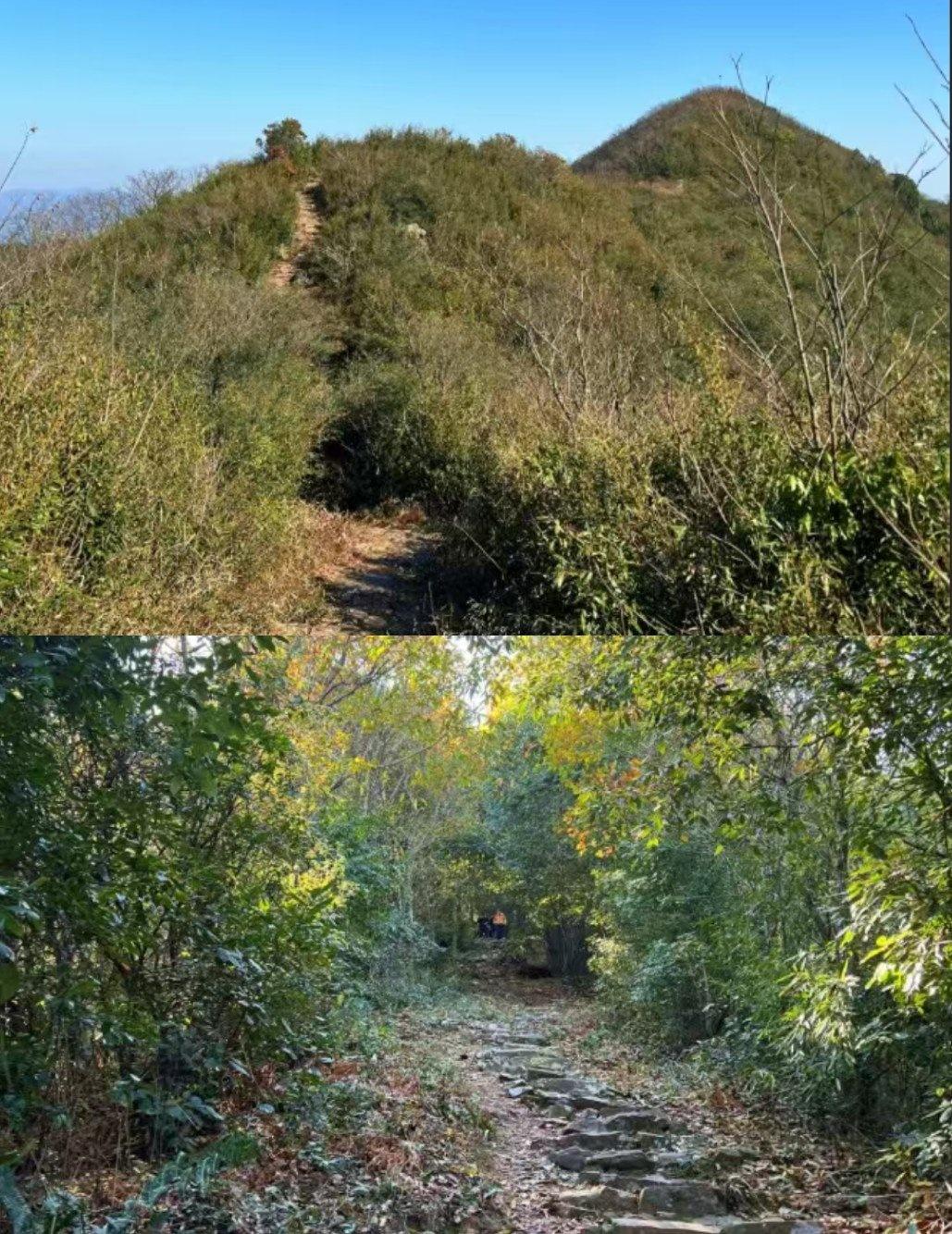 🌄秋日徒步好去处🍂以为只是普通古道徒步,结果被乌龙古道的“上山-下山-再上山