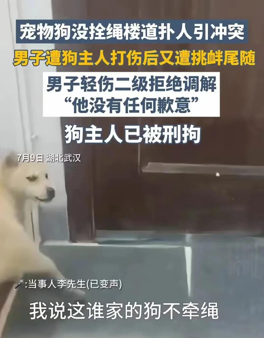 湖北武汉，男子和遛狗的邻居碰上，没栓绳的狗扑到他身上，男子吓得发抖。邻居不管住狗
