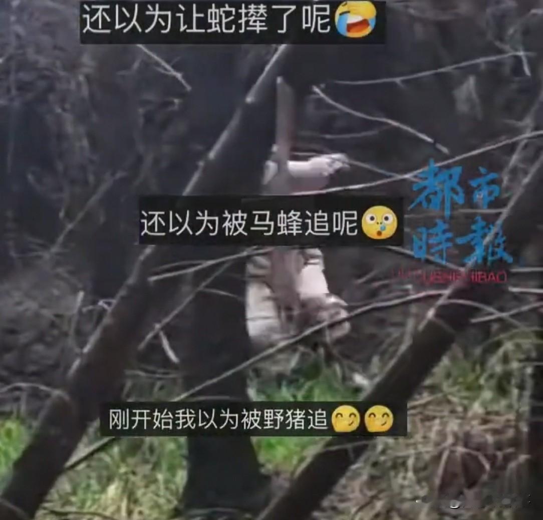 重庆，一女子正在山里捡菌子，朋友连滚带爬冲下山，以为被马蜂追。谁知，朋友举起右手