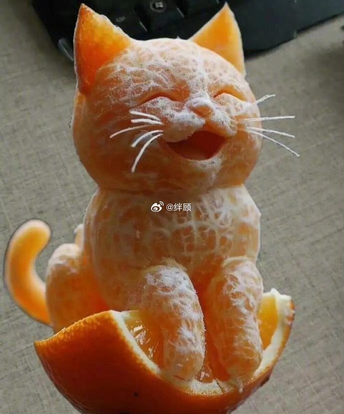 看见这只猫咪的人三天内必有好运！