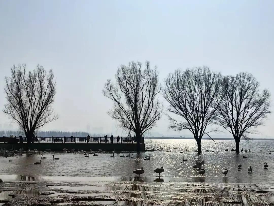 染完头，脸肿成面包！医院急诊一晚接7例，全是化学染发过敏。元凶PPD