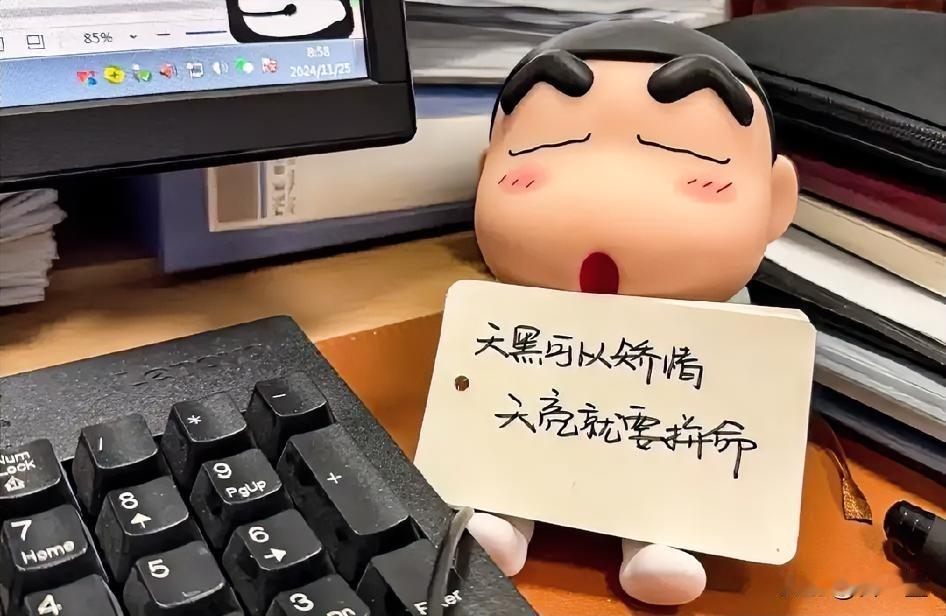我侄女，新闻系刚毕业的，入职一个月就直接被公司开了，在一家小公司当策划，小游戏类