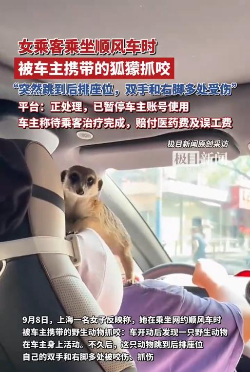 “悲剧还是发生了！”9月4日，上海，一女子乘坐网约车外出，上车后发现司机携带了一