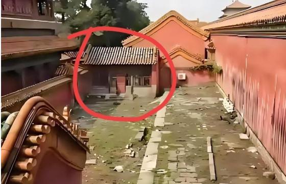 “一直以为冷宫，再怎么也至少是一个院子，最多就是偏僻，现在才知道，冷宫，不是宫殿