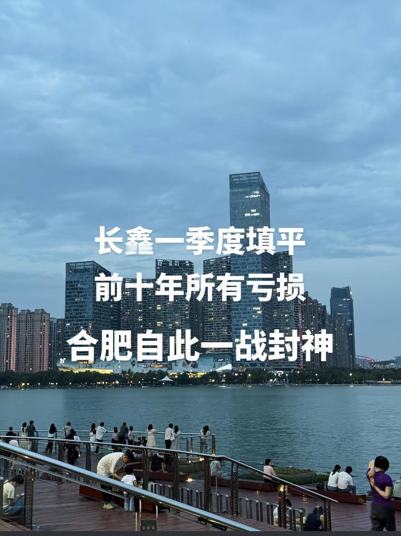 全国最牛的风投机构在合肥！自此一战封神！此前投资京东方、投资未来只能说是开胃