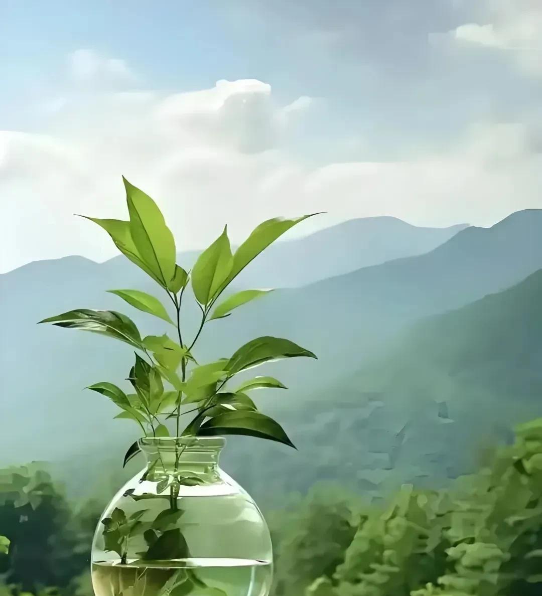 人一定要学会闭嘴，不要去议论别人的是非长短，人家不吃你家的饭。那些整天喜欢在背后