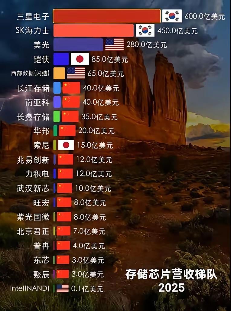 这就是存储芯片领域的寡头竞争格局，价格主要由几个巨头决定，其它厂商是价格的接受者。然后有些存储巨头是