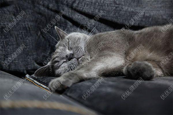 每天睡眠几个小时最好? 睡眠的4个阶段详解